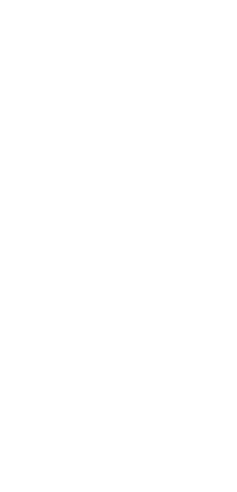 Braillebild Blume 2