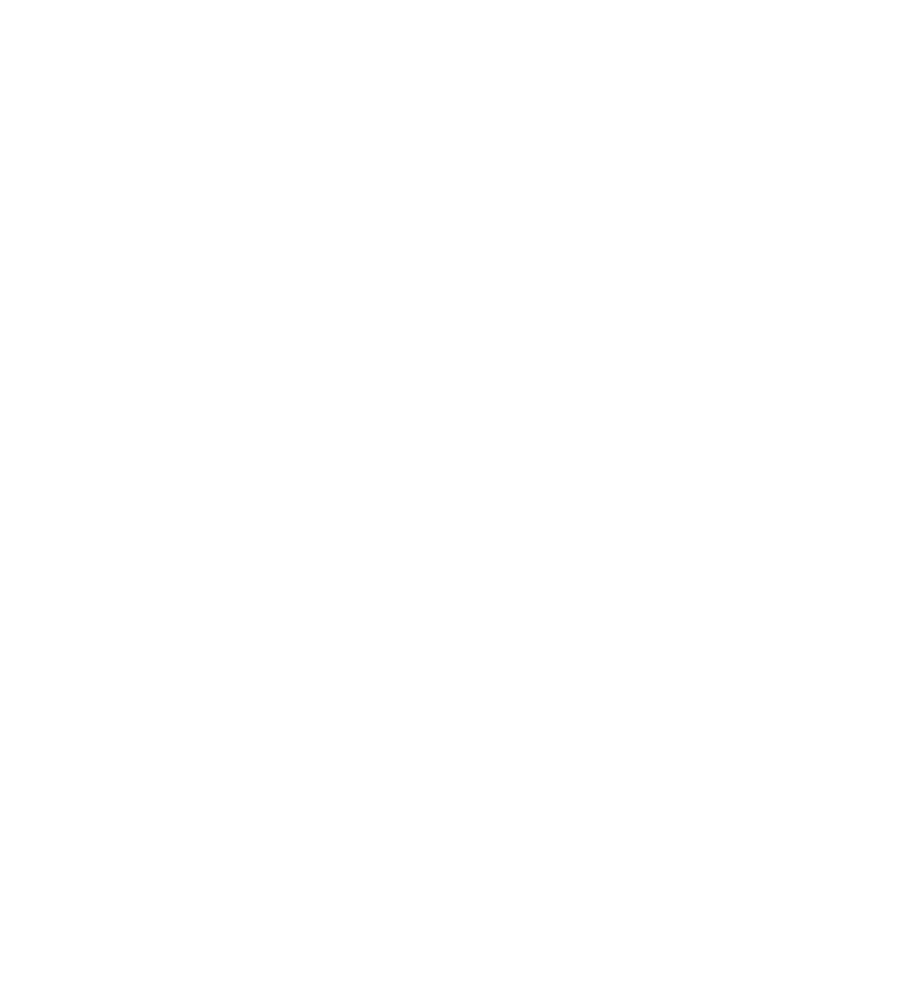 Braillebild Afrika