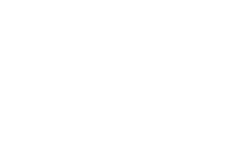 Braillebild Schwan