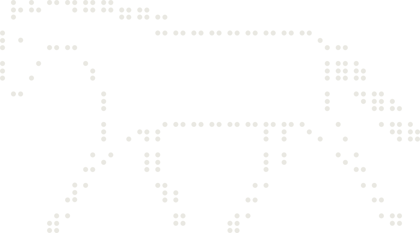 Braille drawing of a horse
