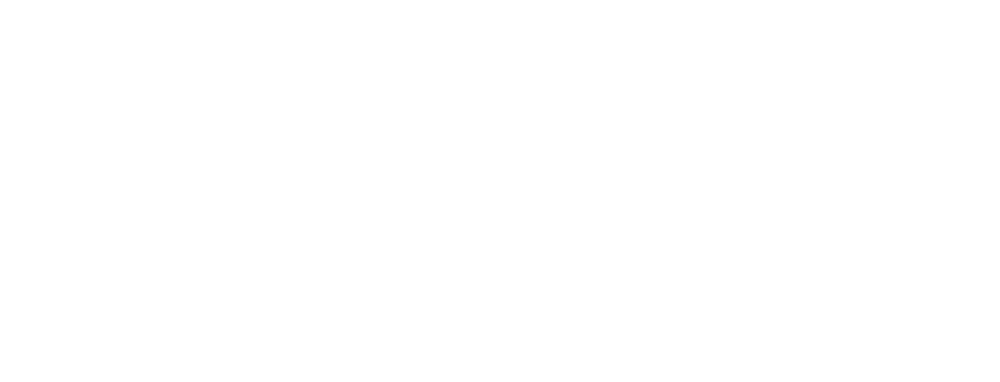 Braillebild Schlitten