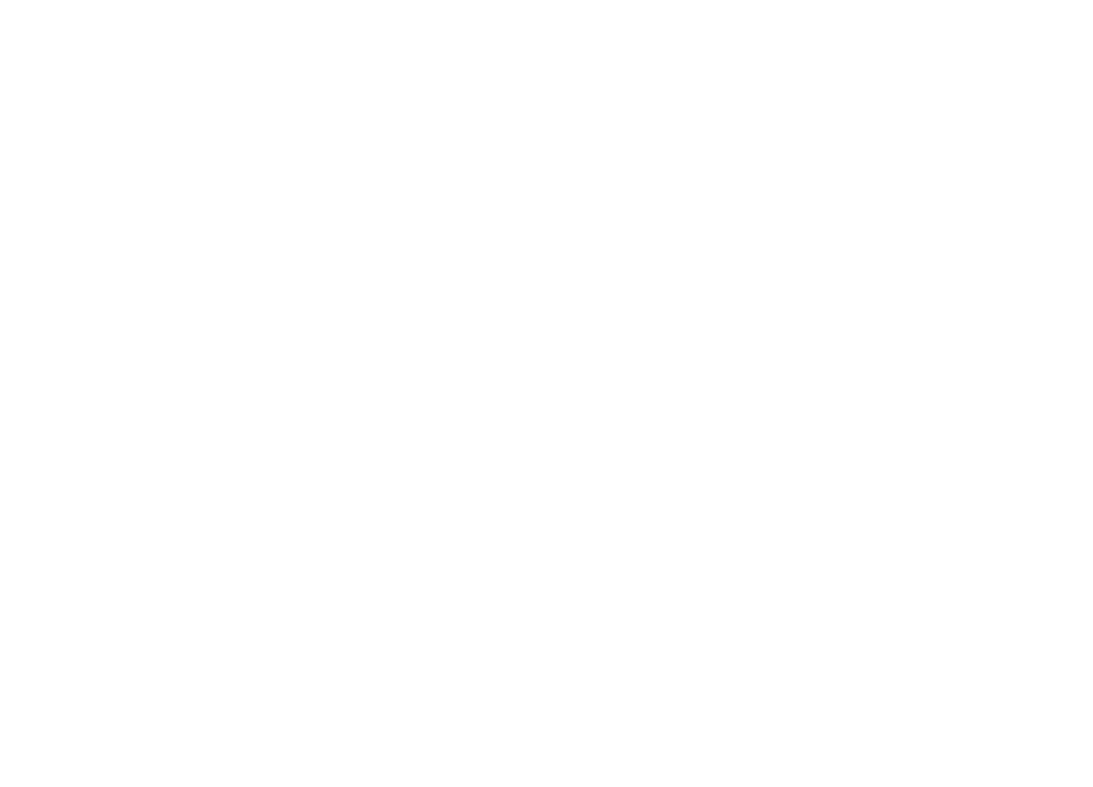 Braille drawing pony