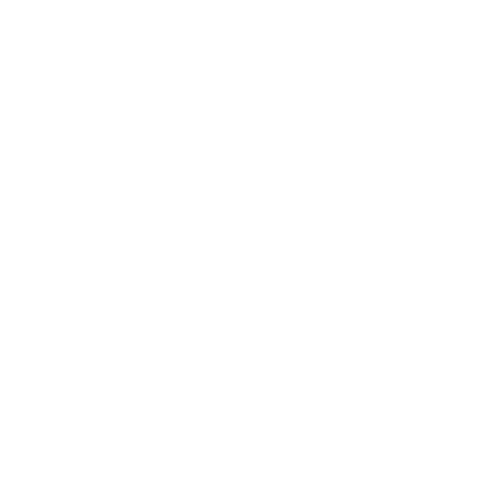 Braillebild Katze