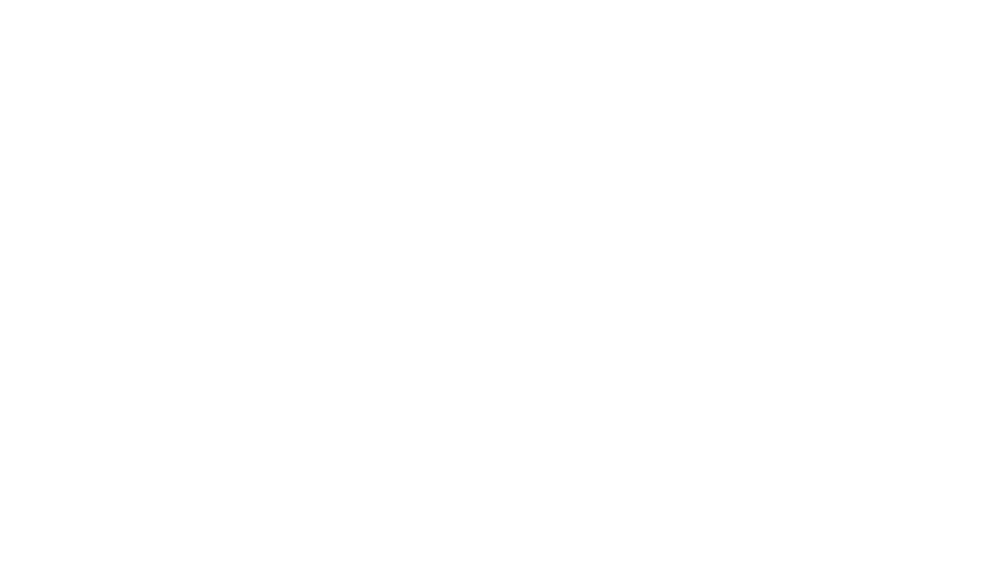 Braillebild Schmetterling