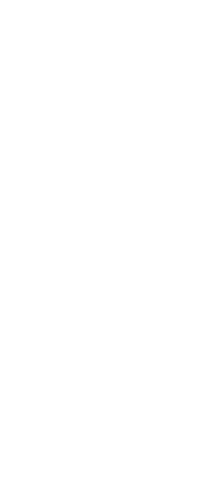 Braillebild Schneemann