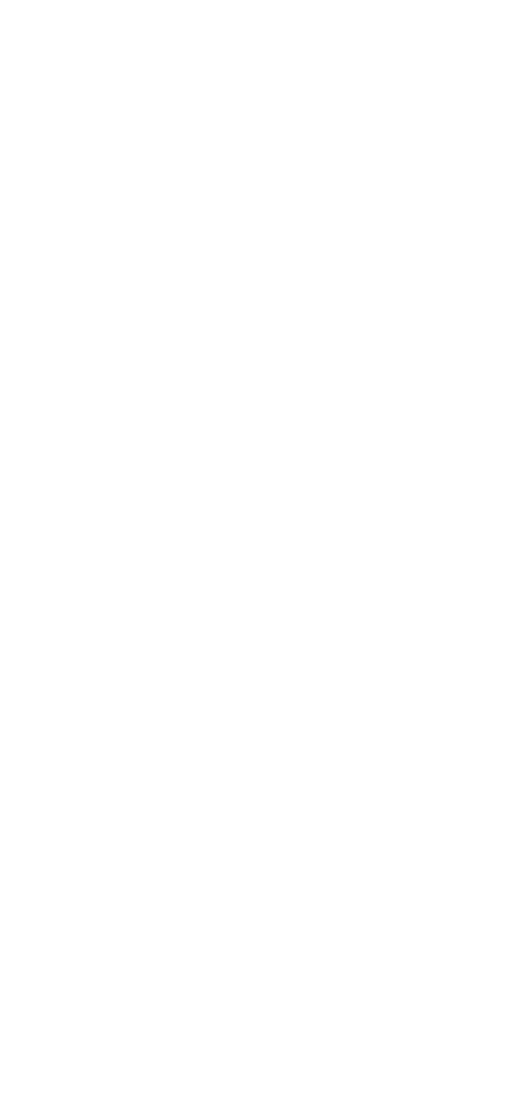Braillebild Libelle