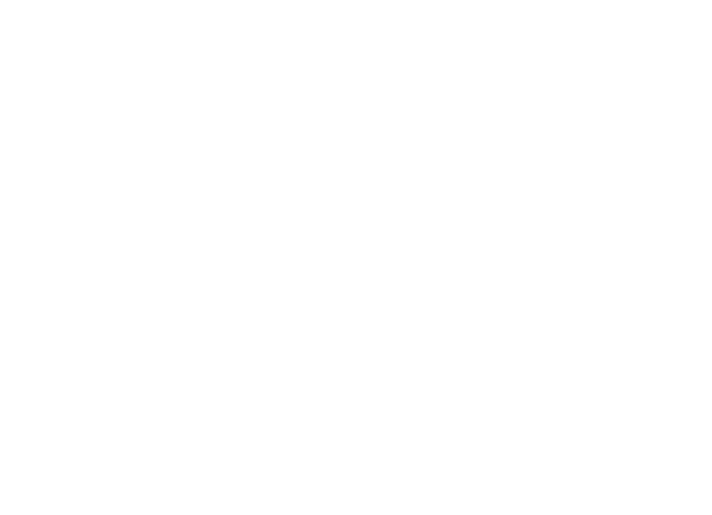 Braille drawing dog