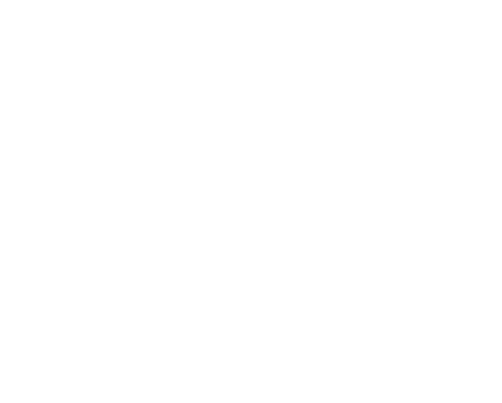 Braille drawing doggie