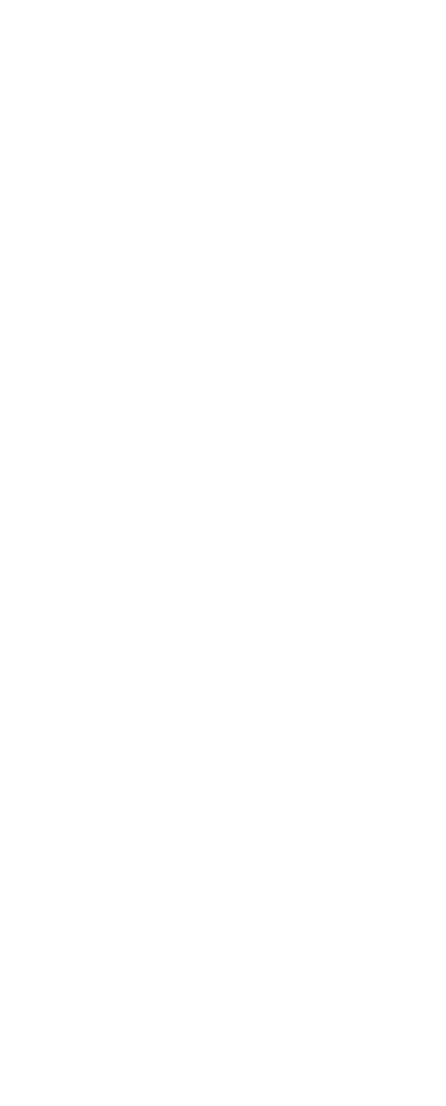 Braillebild Nussknacker