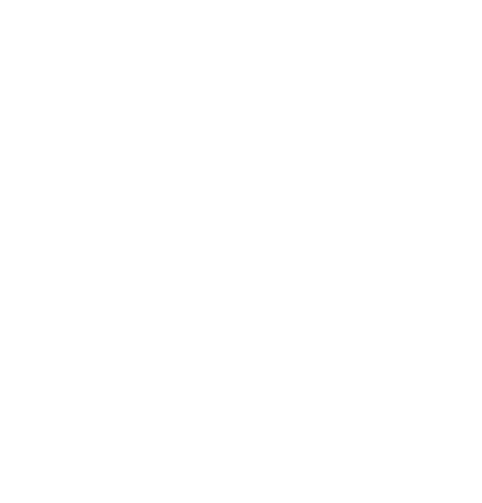 Braillebild Strohstern